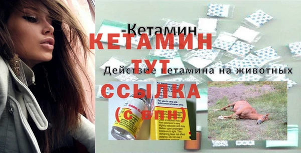 крисы Наволоки