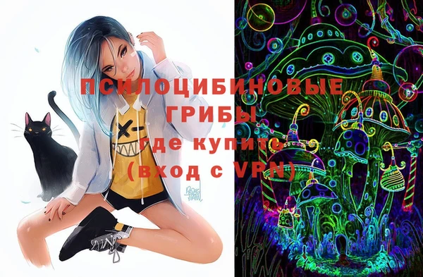 крисы Наволоки