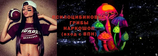 крисы Наволоки